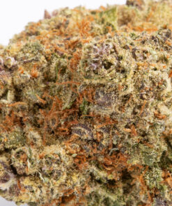 Alternative view of Cherry Kola (AAAA)