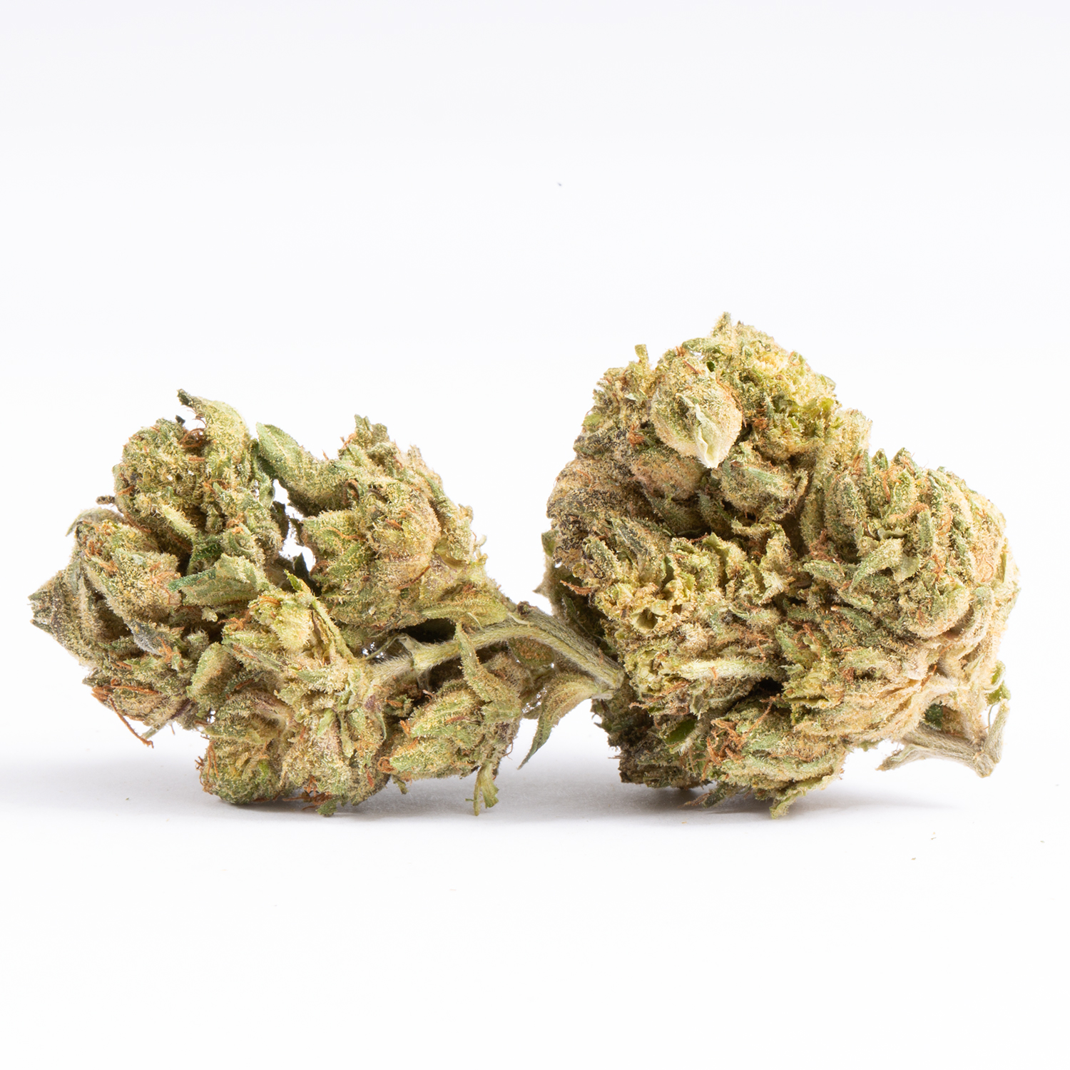 If you're after a bud that's effects really do fit its name, Couchlock is totally made for you. You'll feel fully relaxed and pretty aroused at times in this state before a heavy feeling of couchlock washes over you and locks you down.
