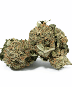 Glue Dream offers an uplifting, creative high with gentle body relaxation. Expect sweet blueberry flavors and a skunky, woody aroma, perfect for easing pain, fatigue, and stress.