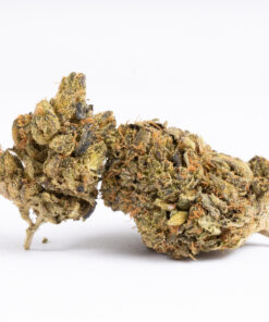 Ghost Bubba perfect for treating chronic pain, muscle spasms or cramps, mild to moderate cases of depression, lack of appetite, and chronic stress. A creeping body buzz comes next that slowly builds and wraps itself around your limbs, suddenly capturing you and leaving you utterly and hopelessly couch-locked and sedated without any hope of moving.