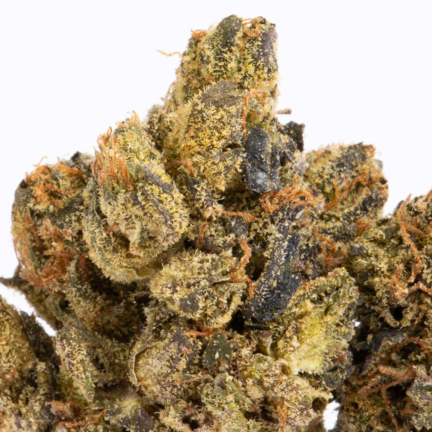 Ghost Bubba (AAA) - Image 2