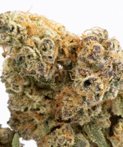 Alternative view of Jupiter (AA+)