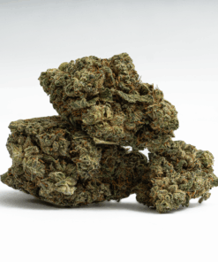 Alternative view of Mochi (AAA)