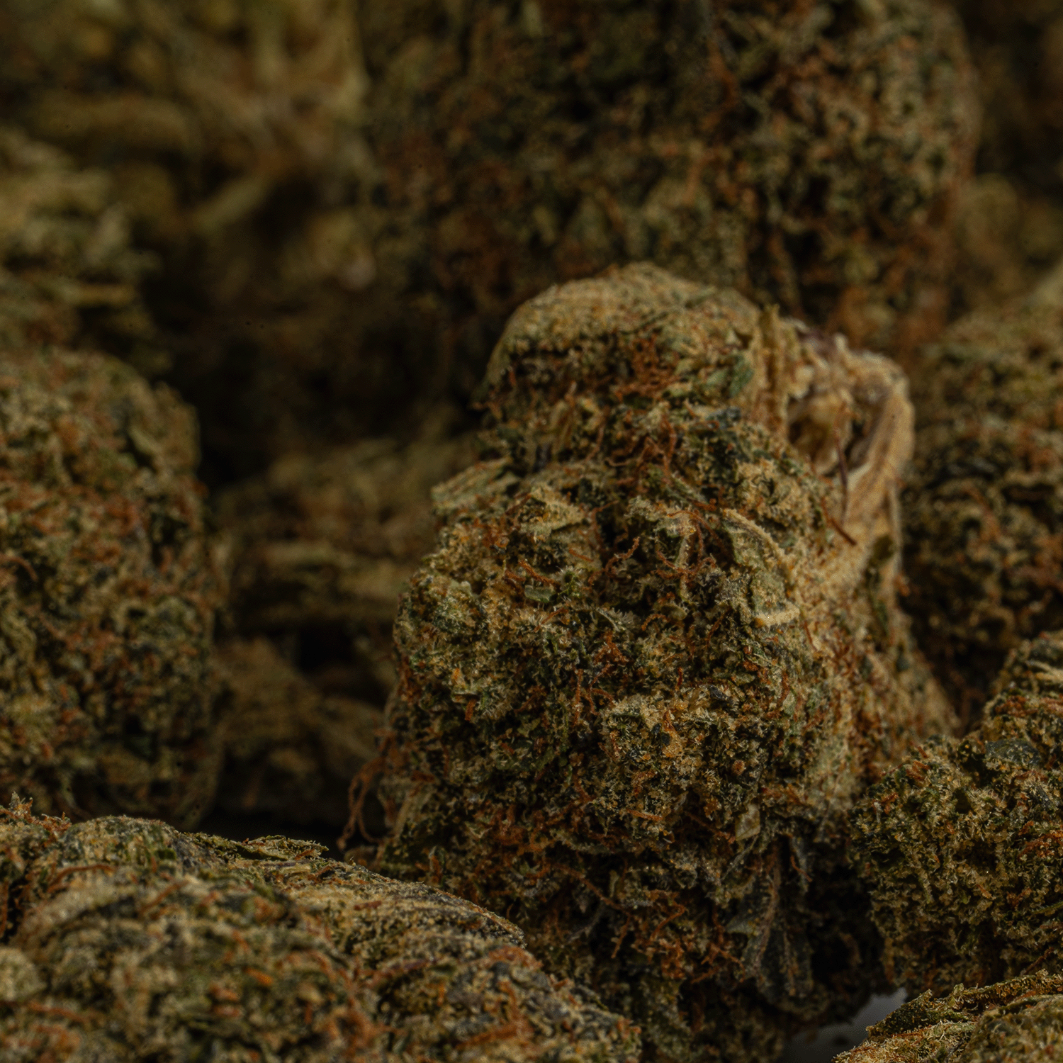 Moonwalker (AA+) - Image 4