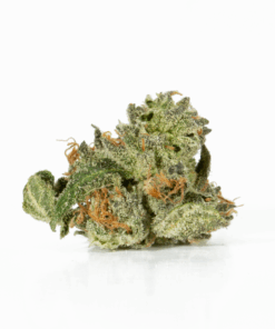 Alternative view of Northern Lights (AAA)