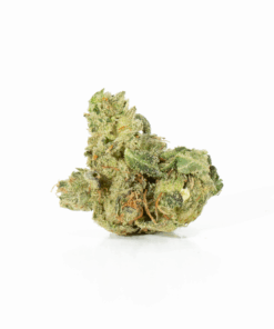 Alternative view of Primus (AAA+)