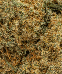 Alternative view of Silky Johnson (AAA+)