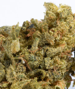 Alternative view of White Castle (AA)