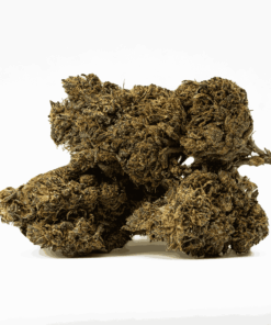 Black Jesus is a divine indica-dominant hybrid that delivers full-body relief and blissful calm. Born from Tahoe OG and Soul Star, this powerhouse soothes both body and mind with a gentle tingle that melts tension without clouding clarity.