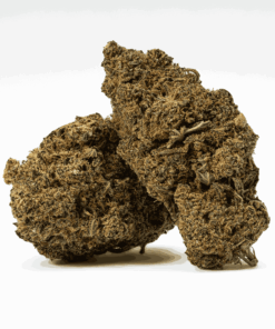 Gello is a perfectly balanced hybrid that blends the best of Gelato 45 and Flo into a sensory delight. Its sugary-sweet berry and citrus flavors captivate the palate, while hints of herbs and earth enrich the aroma.