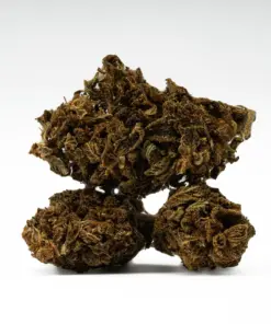 Mango Tango is a 70/30 indica-dominant hybrid known for its sweet citrus-peach flavor and powerful
