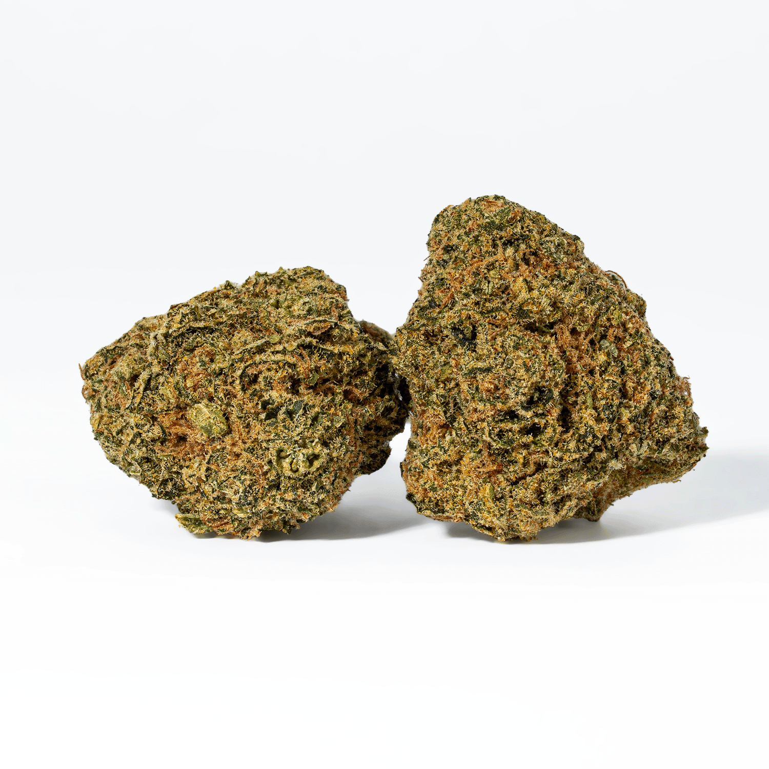 Night Nurse (AA) - Image 2