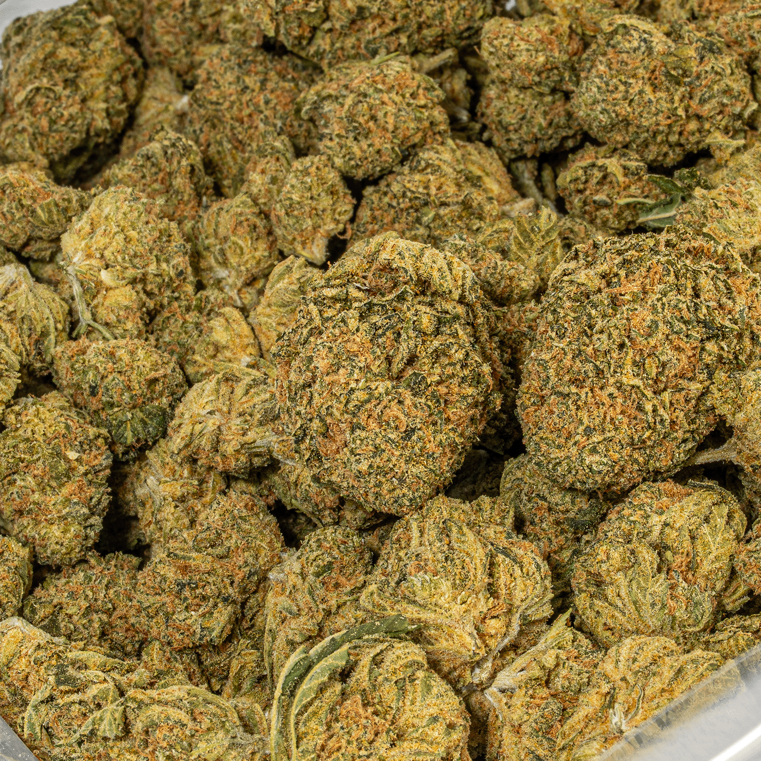 Night Nurse (AA) - Image 4