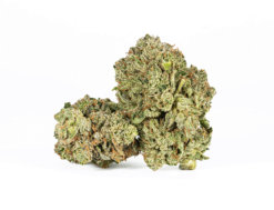 Triangle Octane (AAA+)