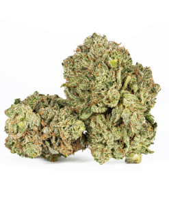 Triangle Octane (AAA+)