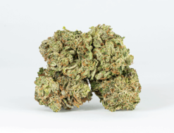 Alternative view of Triangle Octane (AAA+)