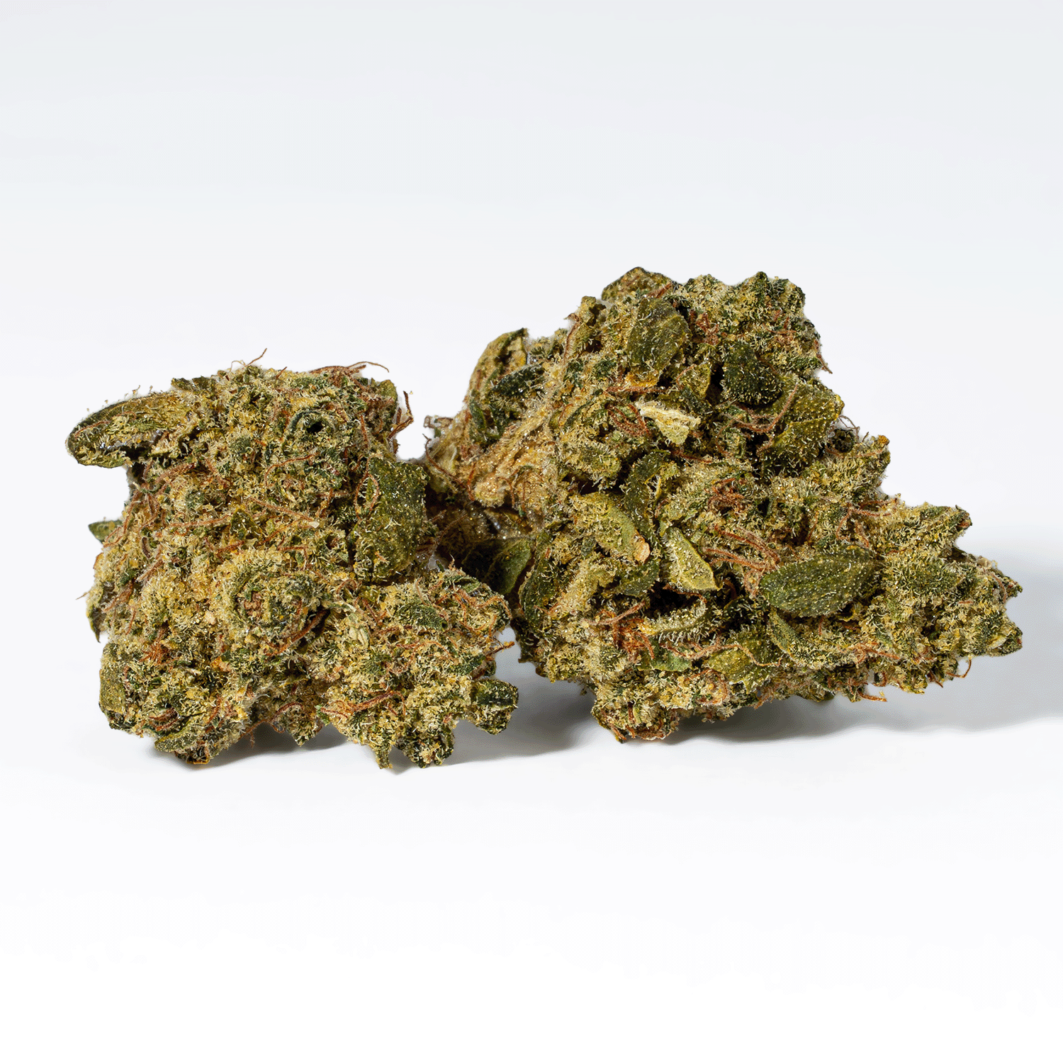 Obama Kush (AA) - Image 2