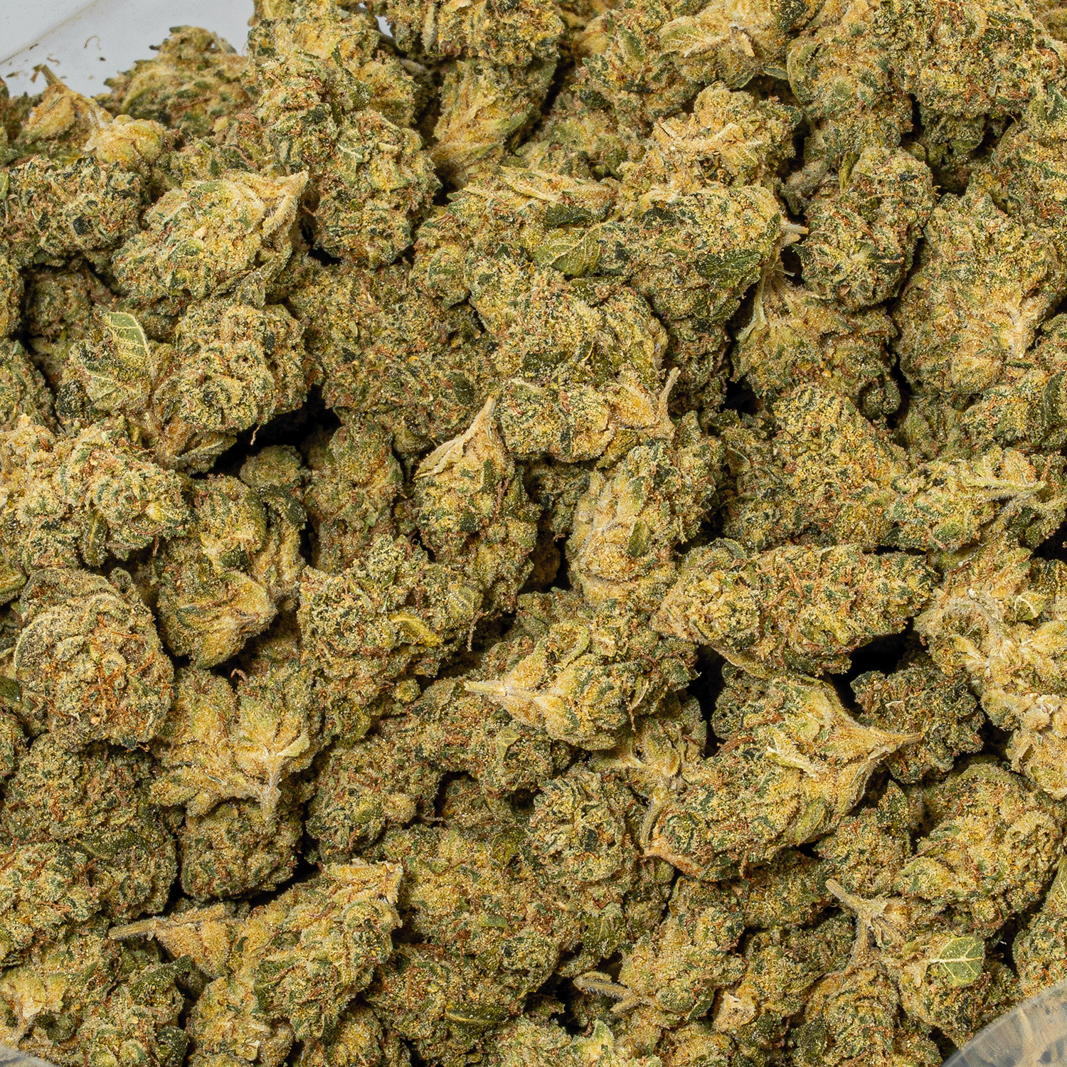 Obama Kush (AA) - Image 4