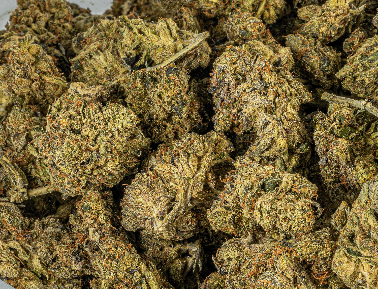 Black Afghani (AAA) - Image 4