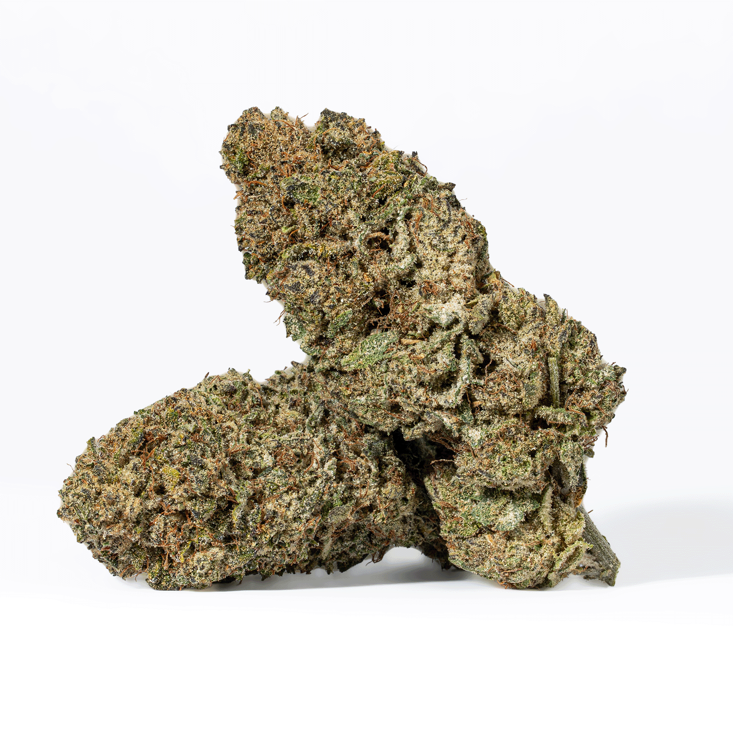 Head Betty (AA) - Image 5