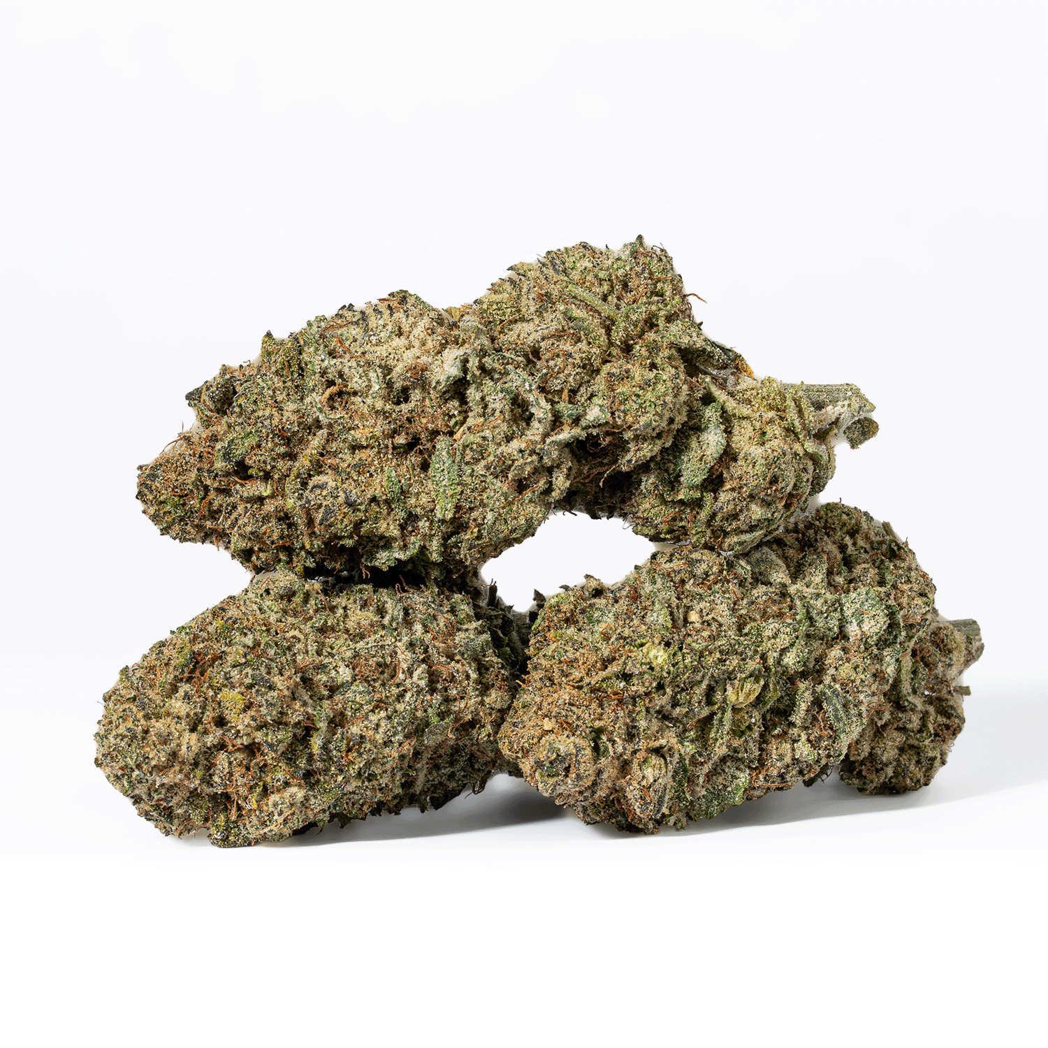 Head Betty (AA) - Image 4