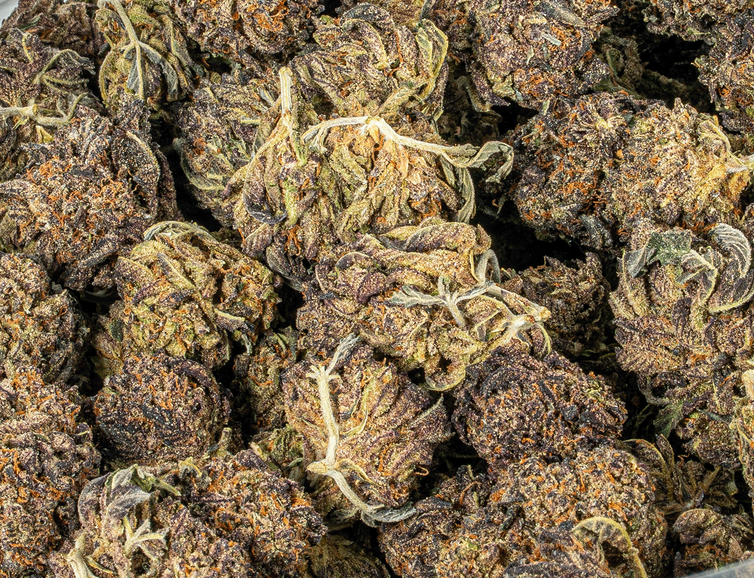 Sticky Grapes (AA) - Image 4