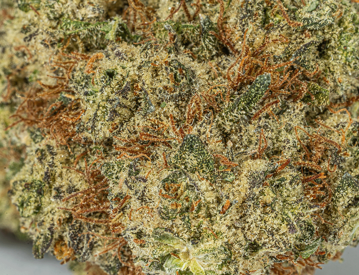 Extreme Cream (AAA) - Image 5