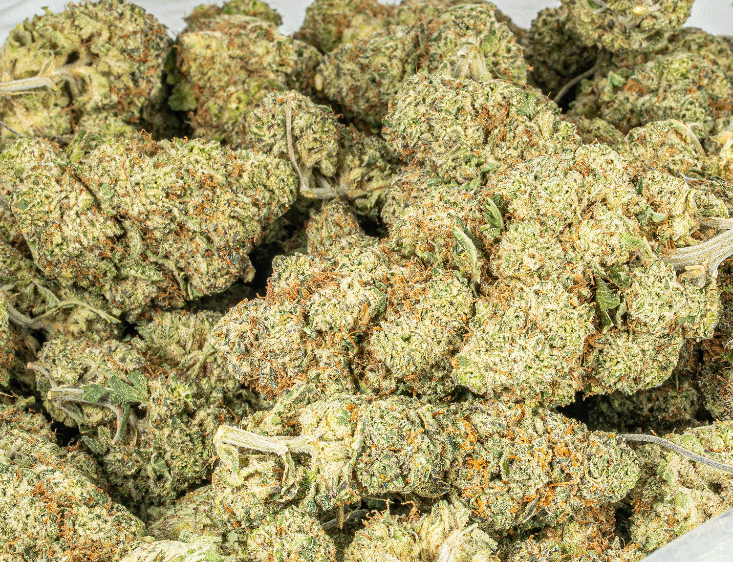 Extreme Cream (AAA) - Image 4