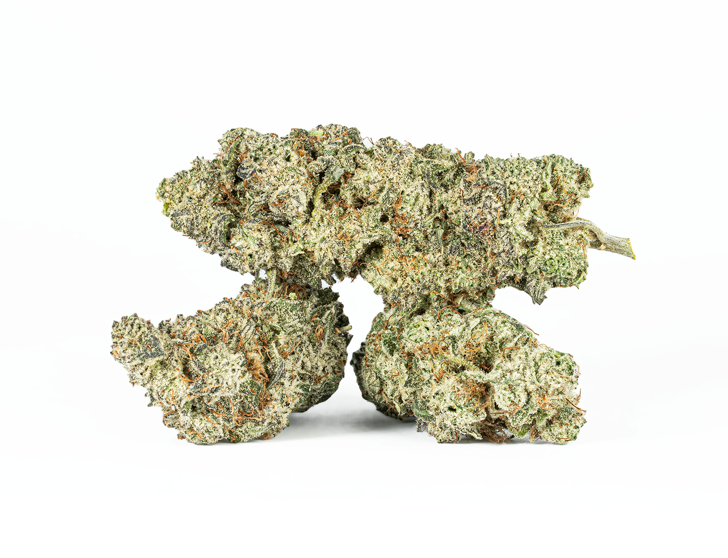 Slurricane (AA+) - Image 2