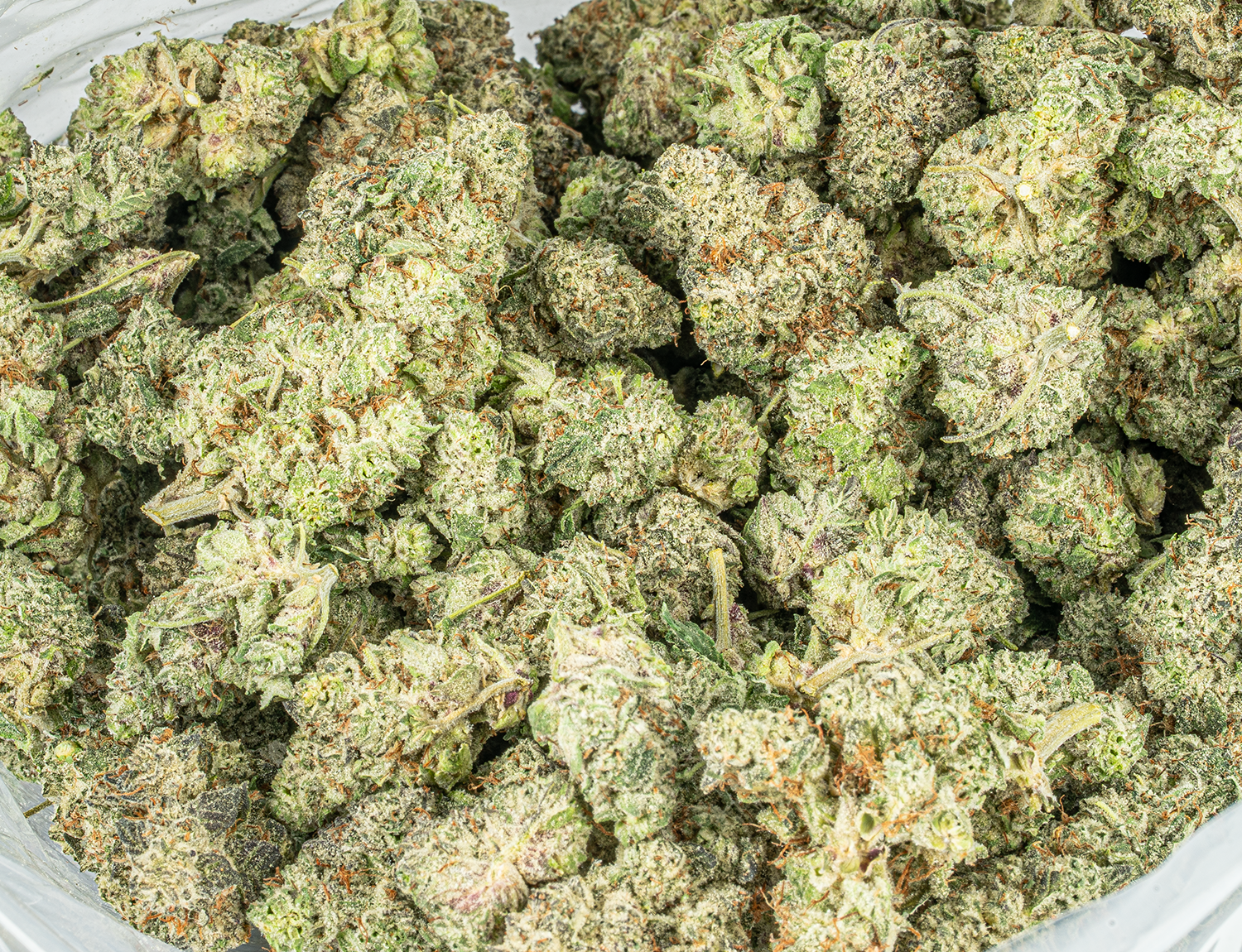 Slurricane (AA+) - Image 4