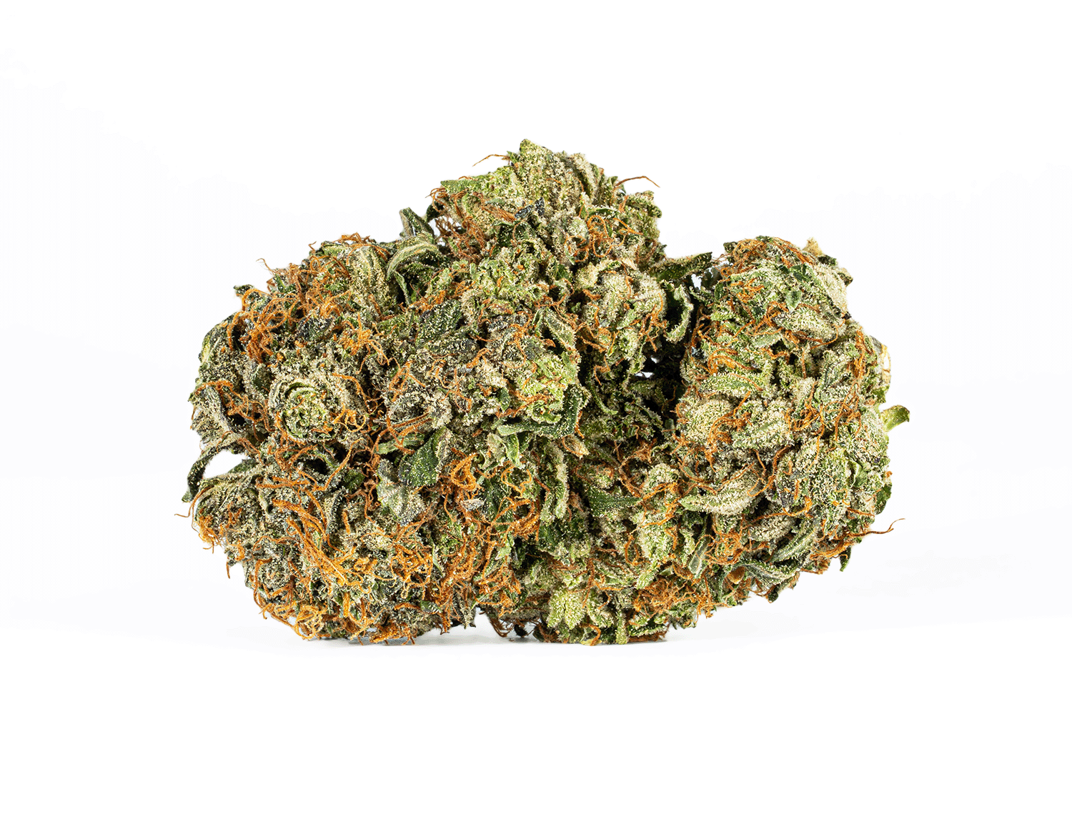 Gucci Pink (AAAA) - Image 3