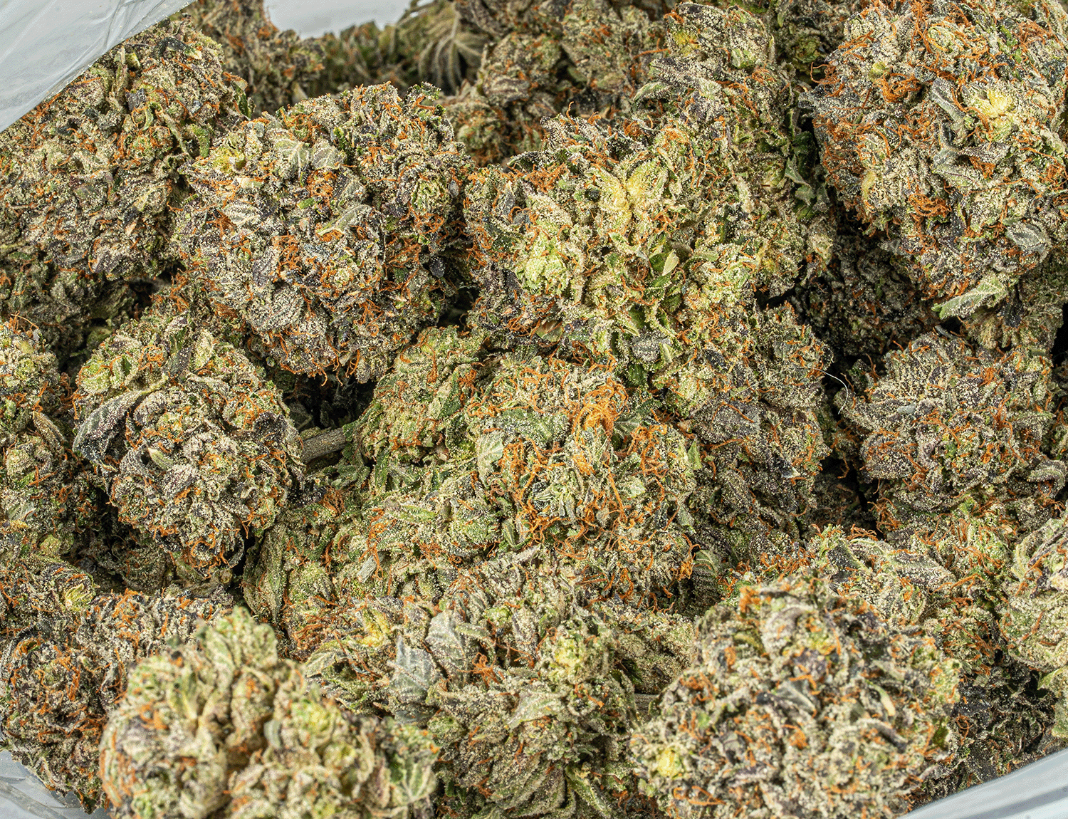 Gucci Pink (AAAA) - Image 4