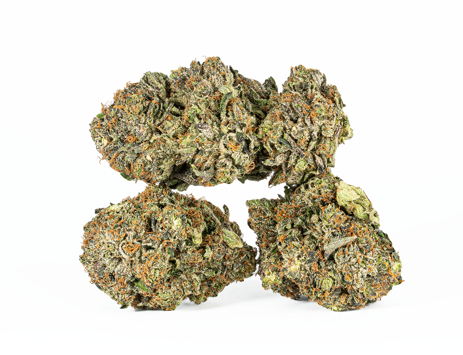 Katsu (AAAA) - Image 2