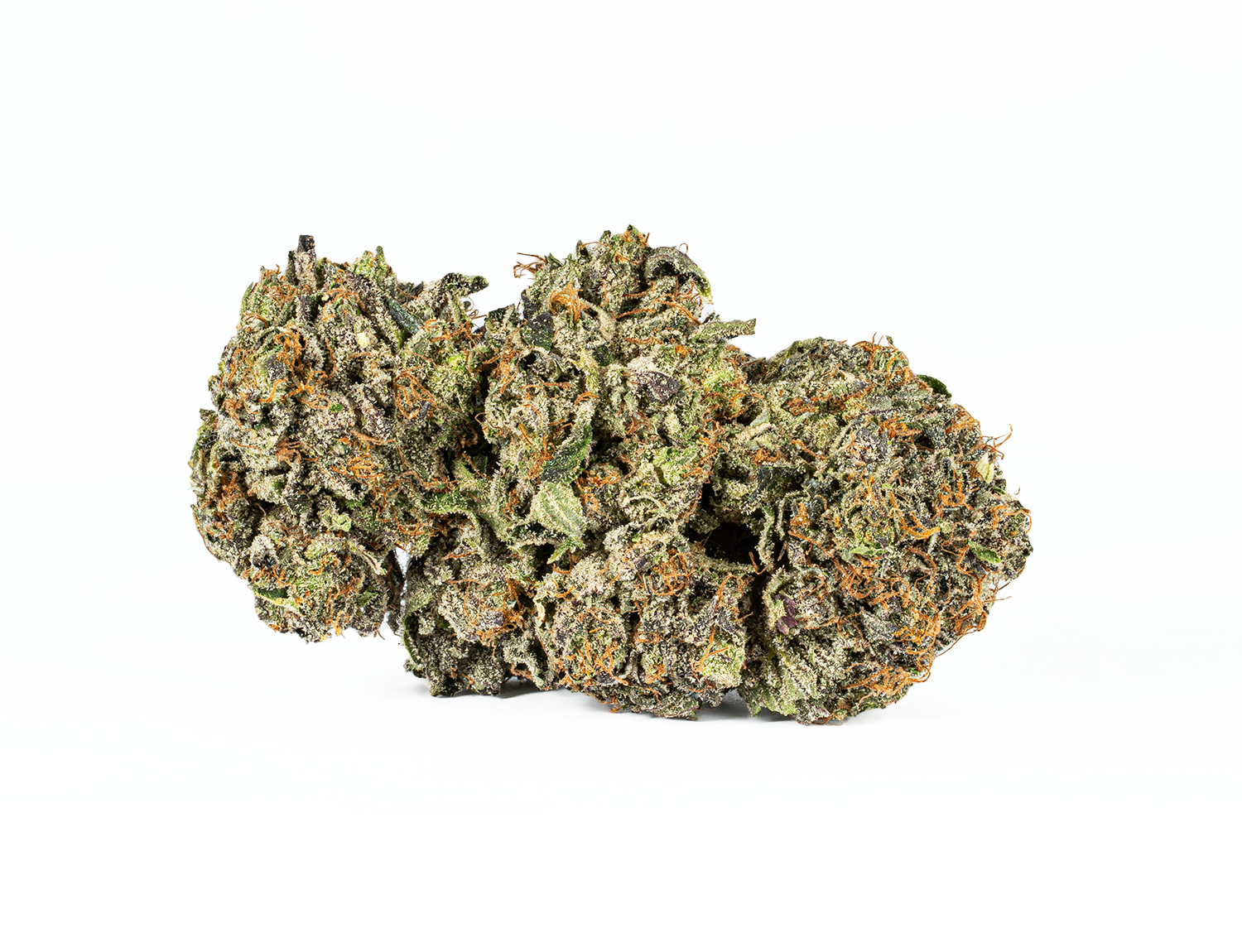 Katsu (AAAA) - Image 3