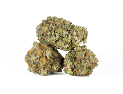 Alternative view of Pinkman Goo (AAAA)