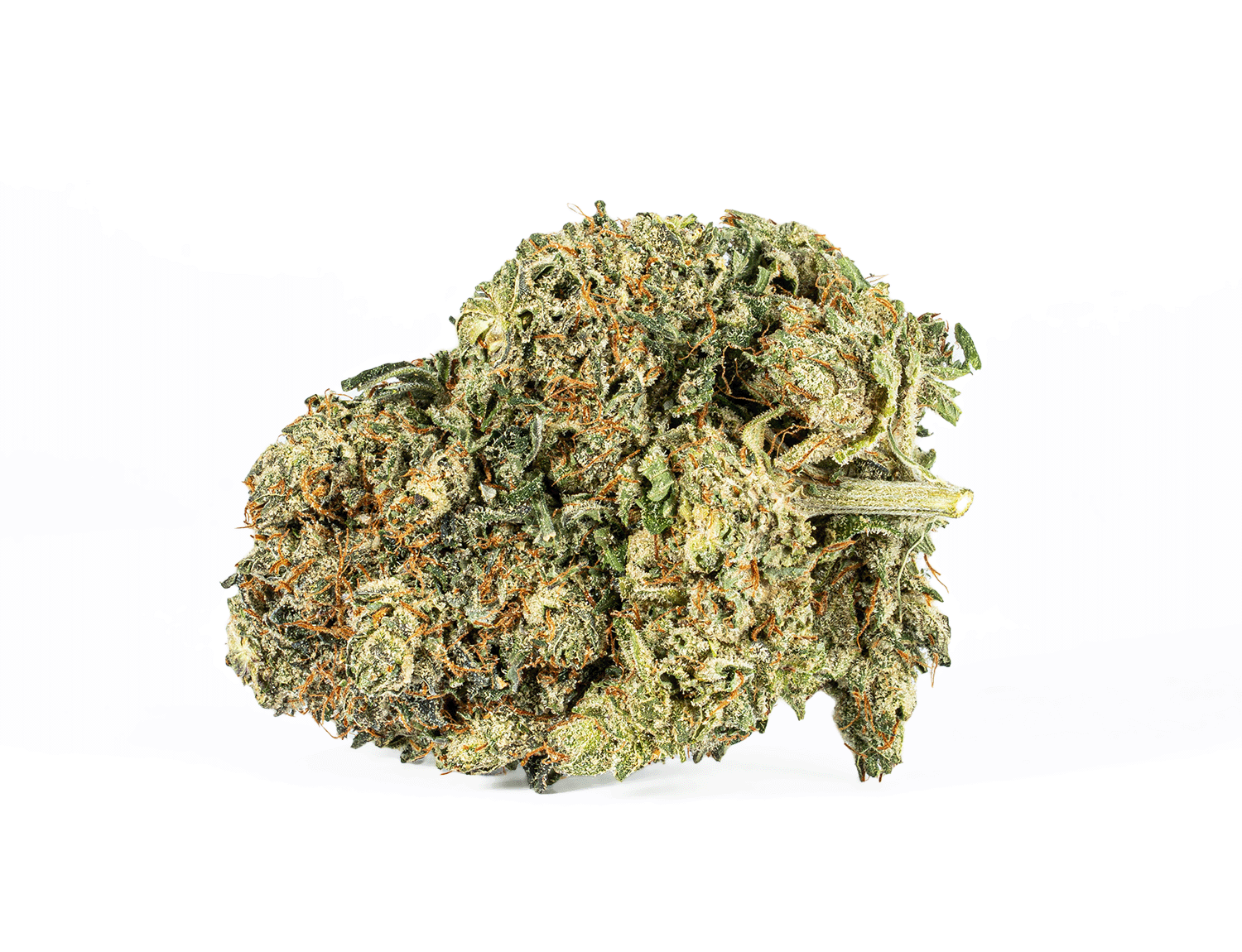 Purple Kush (AAA) - Image 3