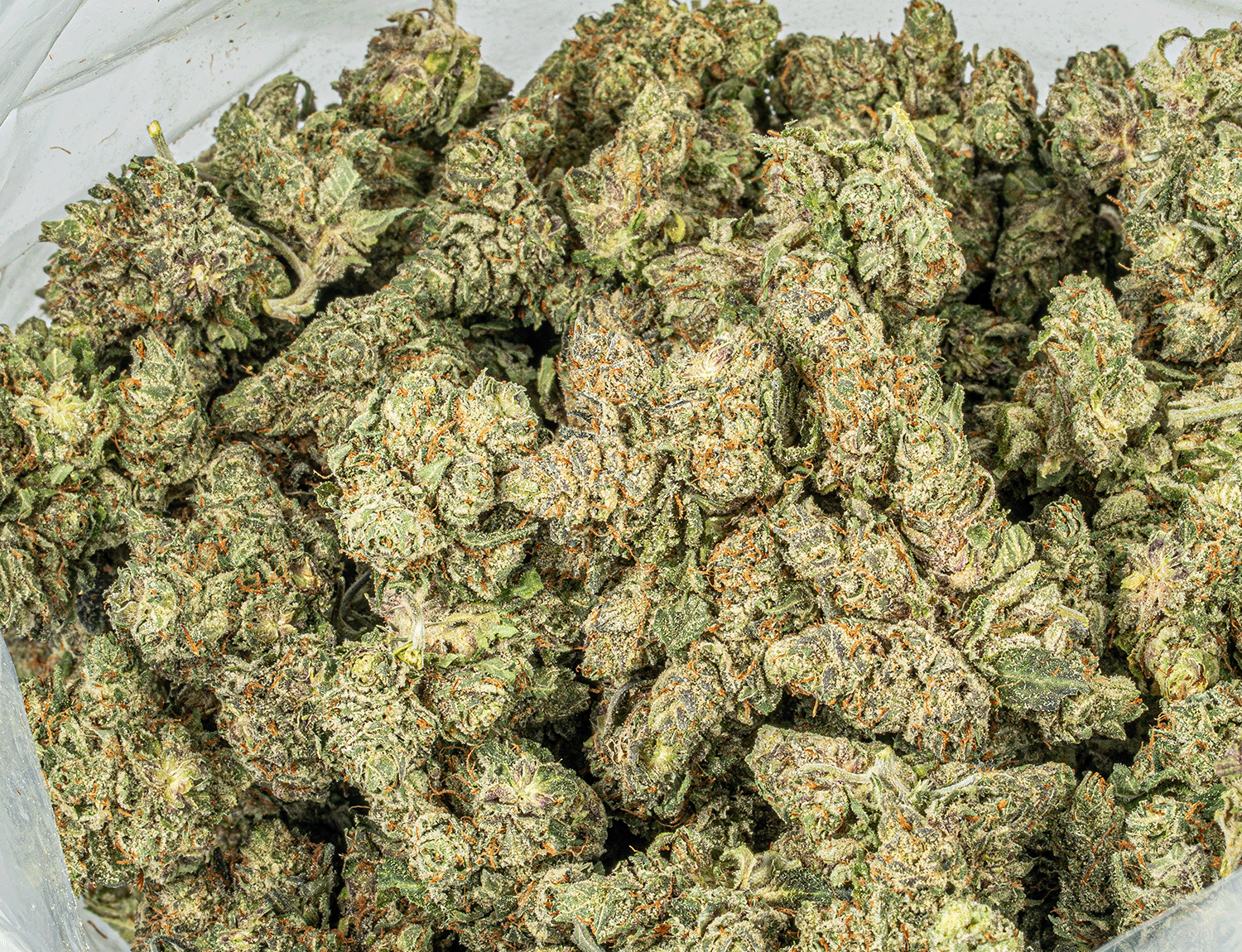 Purple Kush (AAA) - Image 4