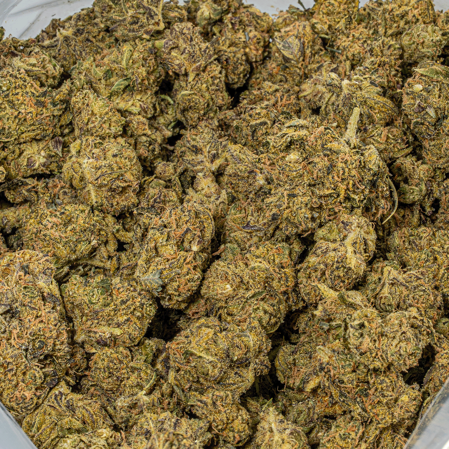 Cheese Wiz (AA) - Image 4