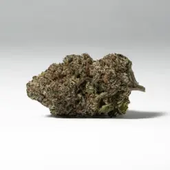 Alternative view of 9LB Hammer (AAAA)