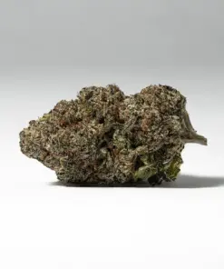 Alternative view of 9LB Hammer (AAAA)