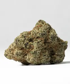 Alternative view of Alien Cookies (AAAA+)