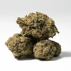 Alternative view of Bear Dance (AA)