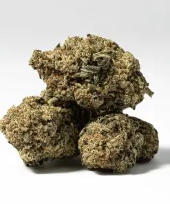 Alternative view of Bear Dance (AA)