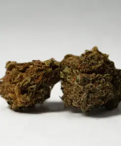 (Smalls) Black Jack (A)