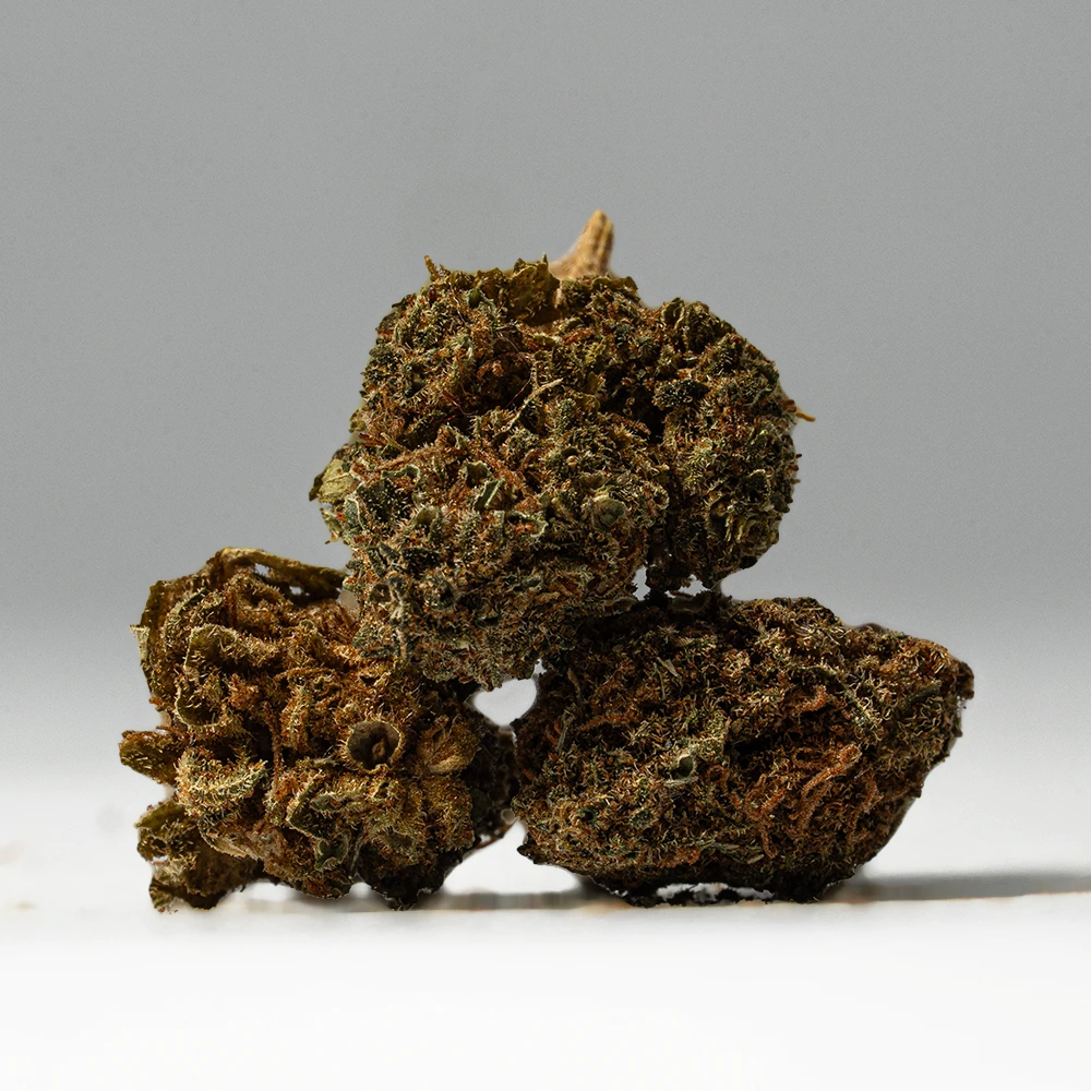 (Smalls) Black Jack (A) - Image 2