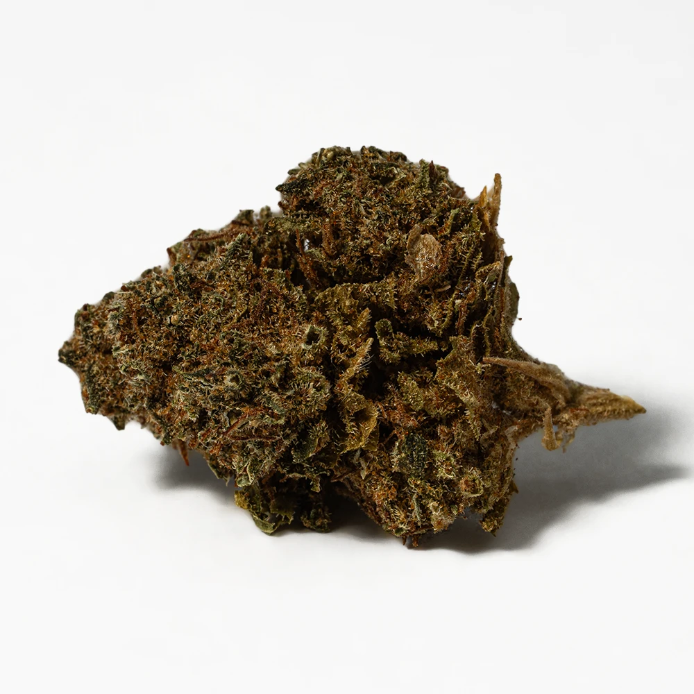 (Smalls) Black Jack (A) - Image 3