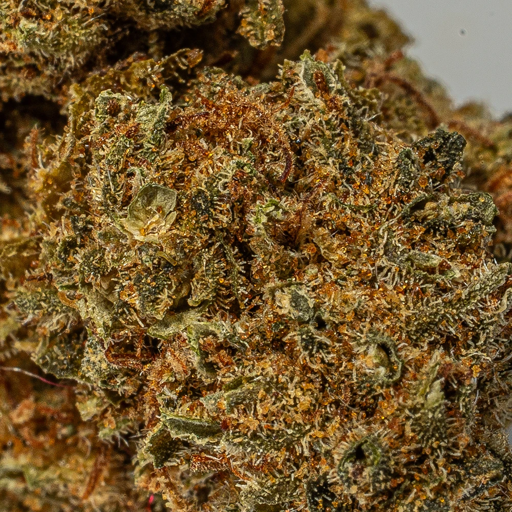 (Smalls) Black Jack (A) - Image 4