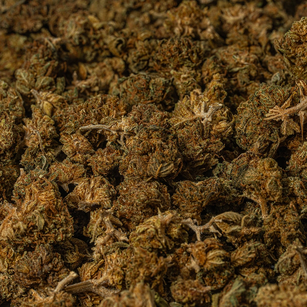 (Smalls) Black Jack (A) - Image 5