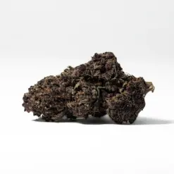 Alternative view of Black Raspberry (AAAA)