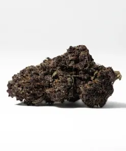 Alternative view of Black Raspberry (AAAA)